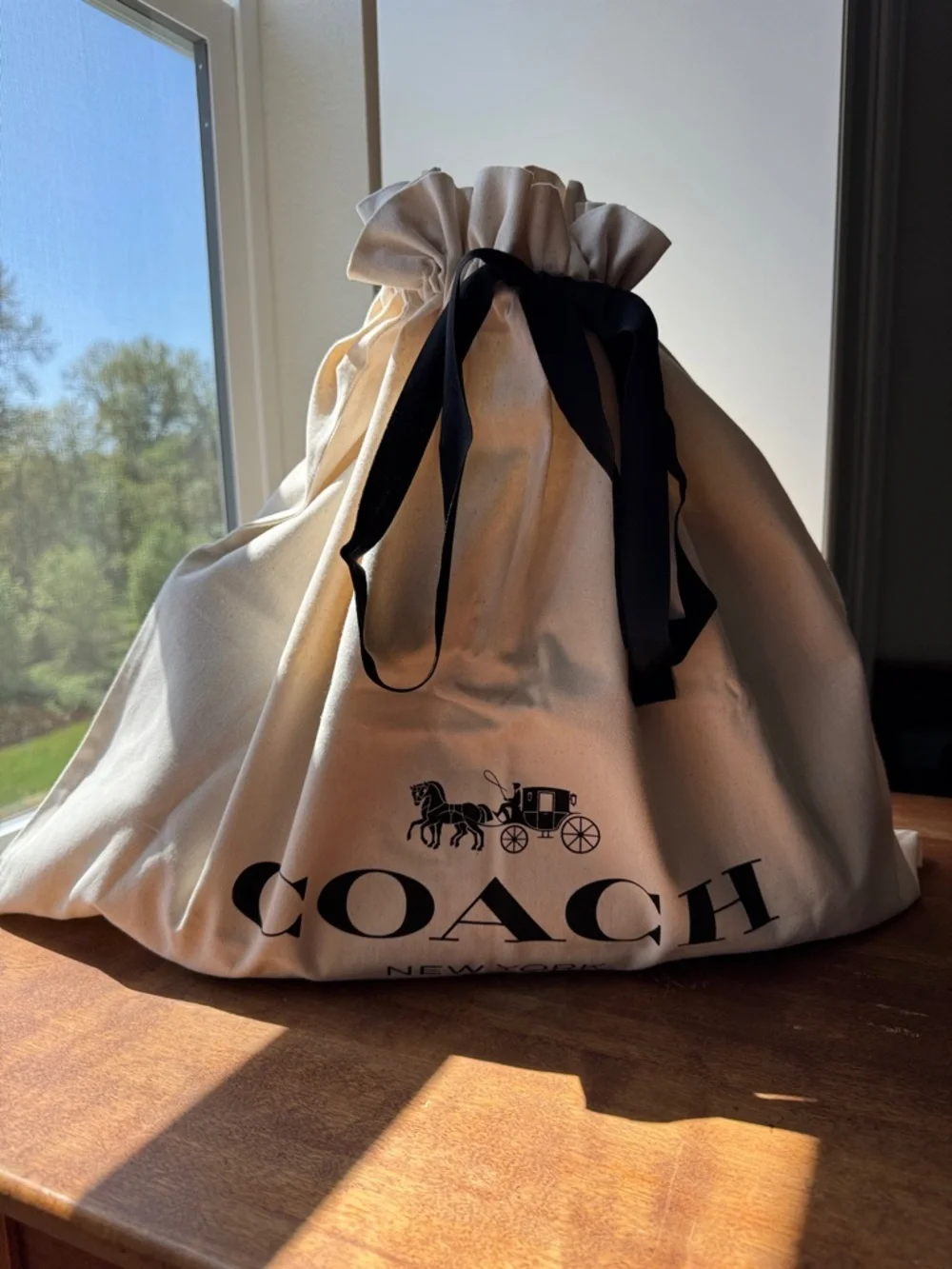 Coach Empire 35 Carryall in Maple with Customizations!! - Picture 12 of 13